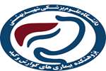کسب رتبه ششم کشوری مرکز تحقیقات بیماری های گوارش و کبد