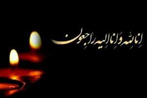 پیام تسلیت در پی درگذشت برادر گرامی جناب آقای دکتر محمد رستمی نژاد